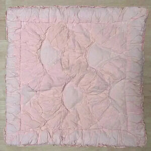 S/2 Pottery Barn Teen Euro Shams Blush/Pink Emily & Meritt Parisian Petticoat